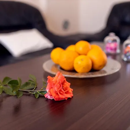 Gala Apartment